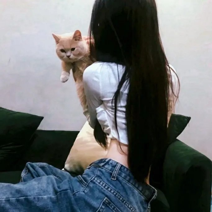 孟买之梦