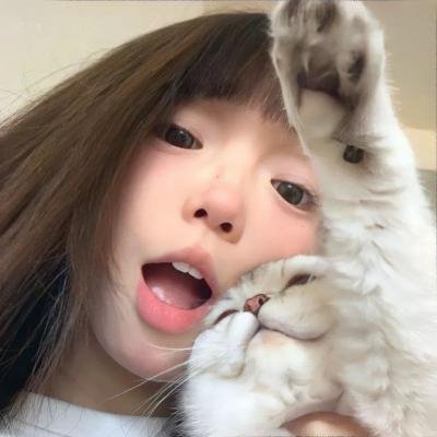 马戏帐篷